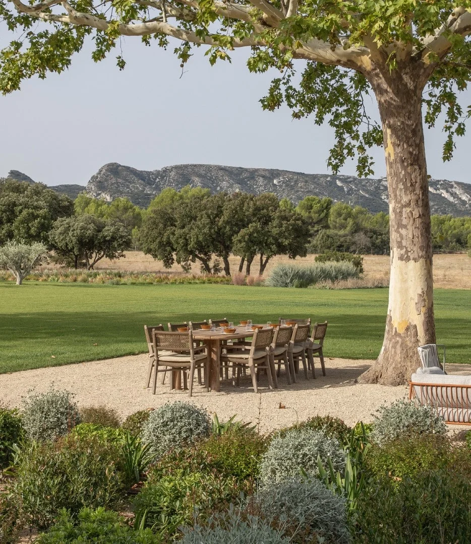 Outdoor dining table beneath a plane tree, facing the Alpilles — Montjoie